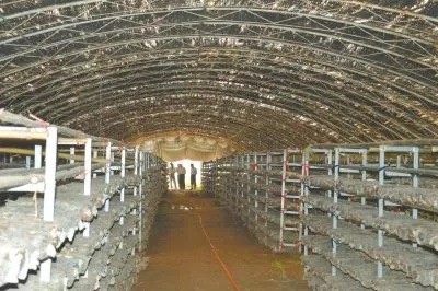 新聞資訊 新聞資訊